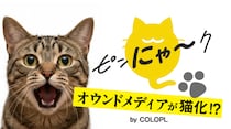 【コロプラ】2月22日「猫の日」に向けて、オウンドメディアが猫ジャック！期間限定で『ピンにゃ～ク』に！