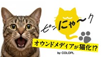 【コロプラ】2月22日「猫の日」に向けて、オウンドメディアが猫ジャック！期間限定で『ピンにゃ～ク』に！