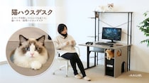 ミドルタワーPC収納付き「猫ハウスデスク」発売。4つの【にゃんギミック】で猫を摂取しながらプレイに没頭。