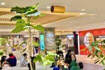 エムズシステム、「音環境宣言」発表を記念し オフィス・商業施設向け音環境改善デモを無料実施 4月11日（土）から4月30日（木）まで、 法人空間を対象に期間限定キャンペーンを展開