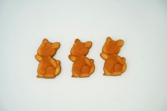 「ながさき未来応援ポケモン」 デンリュウをかたどった「デンリュウマドレーヌ」を発売 ― 五島から、新たな地域土産の提案 ―