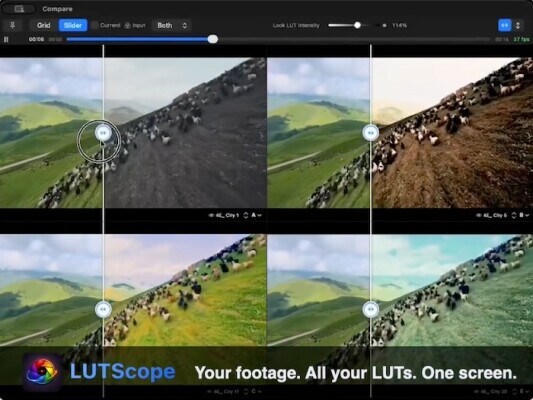 カラリストのLUT選定時間を大幅削減!macOSアプリ「LUTScope」登場 ~20種類のLUTの同時比較、Input/Lookの2段階パイプラインなどの機能を備えたLUT評価に特化した専用ツール~