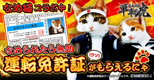 日本で大ブームを巻き起こしたあの猫が単車の虎に！『単車の虎』×『なめ猫～なめんなよ～』コラボイベントが開幕！