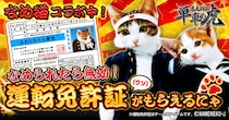 日本で大ブームを巻き起こしたあの猫が単車の虎に！『単車の虎』×『なめ猫～なめんなよ～』コラボイベントが開幕！