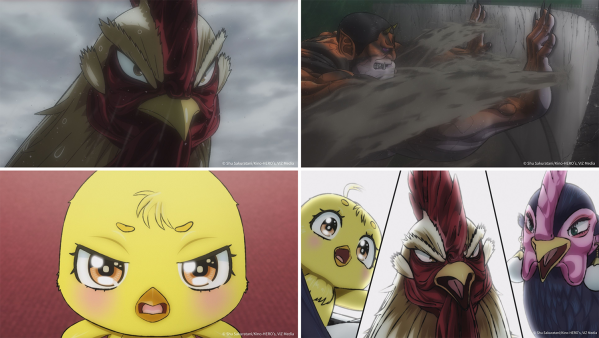 アニメ『ニワトリ・ファイター』第6羽あらすじ＆先行カット公開！海外版のOP映像の公開やDARUMA Rollin’とのコラボTシャツ販売も決定！