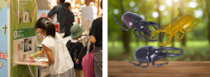 夏休みの自由研究はこれで決まり！大人気「たんけん昆虫フェス」がバージョンアップ。フィギュアを集めて「じぶんだけの昆虫ジオラマ」を作ろう！