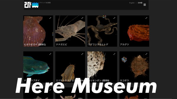 XR博物館プラットフォーム「Here Museum」始動 ― XR生物博物館を大規模リニューアル、デスクトップとMeta Questにも対応拡大、全展示無料化