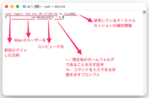 AIコーディング時代に備える「Macのターミナル使い方ガイド」を公開、基本コマンドから危険な操作まで解説