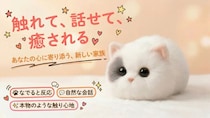 株式会社グロウスコム 言葉とぬくもりで寄り添う、ねこ型AIペットロボット 日本国内限定販売「Walulu」 7月31日（金）Makuakeにて先行販売開始