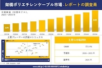 架橋ポリエチレンケーブル市場調査レポート - 世界市場規模、シェア、傾向の見通し、2026-2035年