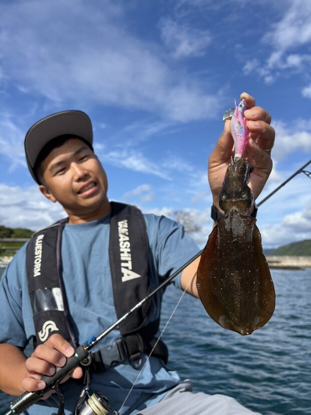 エギ王SEARCHブルームピンキーでキャッチした秋イカ