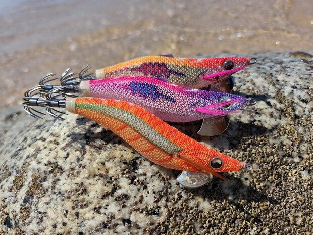 エギ王SEARCHとLIVE