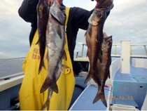 【釣果速報】クロムツにオアカムロ、アジと多彩な魚種で船内が豪華に！あなたも千葉県聡丸で大興奮の釣行を味わおう！