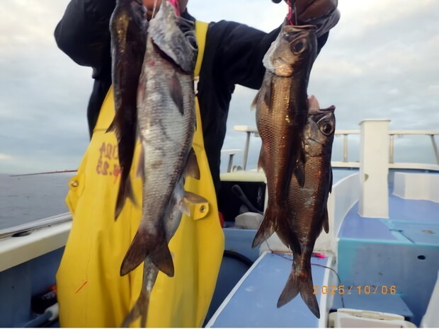 【釣果速報】クロムツにオアカムロ、アジと多彩な魚種で船内が豪華に!あなたも千葉県聡丸で大興奮の釣行を味わおう!