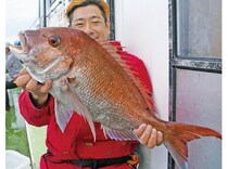 近場＆浅場で驚愕の光景　八景沖のコマセダイは数＆型とも大満足！