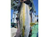 【釣果速報】福岡県威徳丸でヒラマサ・ワラサ・ヤズ・アカヤガラ上がる！！今乗船すれば大物ヒット間違いなし！