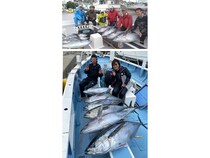 【釣果速報】54.00kgのキハダマグロ獲ったどー！神奈川県かねい丸でビッグドリームを掴みに行こう！