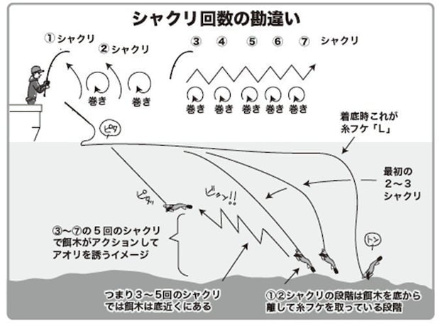 シャクリ回数の図