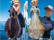 能登から全国へ！アオリイカ全開ティップラン
