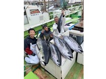 【釣果速報】神奈川県たいぞう丸でカツオ・キハダマグロが順調にヒットで好調！キハダTOP45.10kg！今後も期待大！