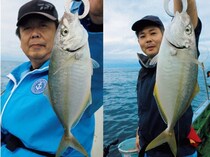 近場で気軽にトライできる南房布良瀬のシマアジ好期