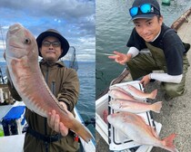 【釣果速報】“幻の甘鯛”ことシロアマダイが連発ヒット！潮の流れが悪くても45cmキャッチ！静岡県山大丸で超高級魚に出会おう！