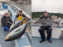 【釣果速報】神奈川県太郎丸で50.00kgクラスのキハダマグロGET！あなたも秋の宝探しに出かけませんか？