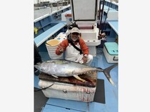 【釣果速報】神奈川県愛正丸で52.00kgのキハダマグロ上がる！！ノッてる今、大物ゲットの夢を掴め！