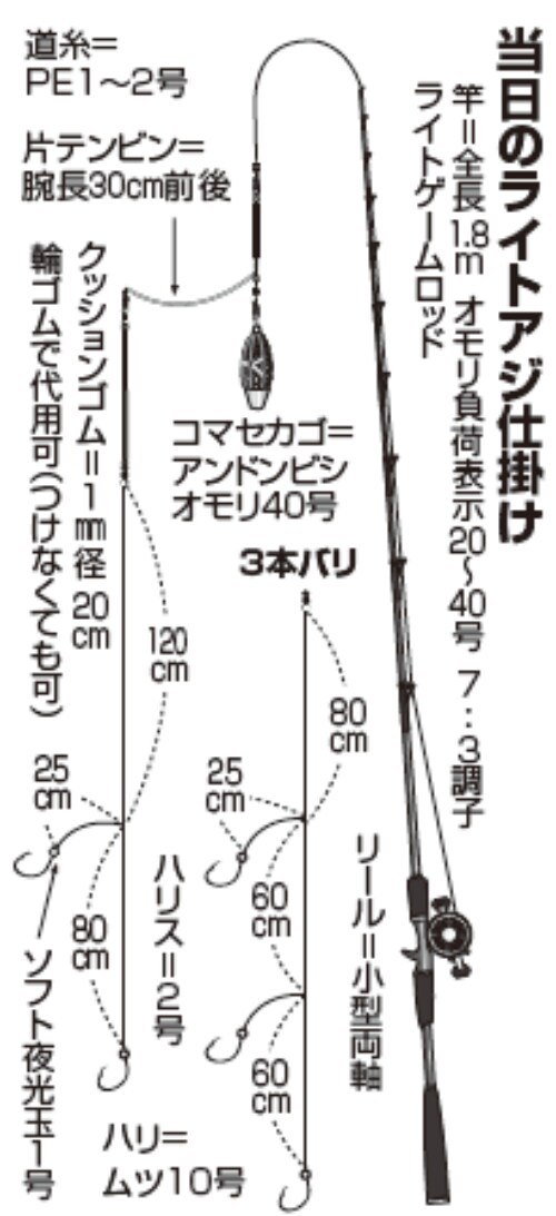 当日のライトアジ仕掛け