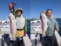 【釣果速報】和歌山県SevenSWellで極上のシロアマダイをゲット！サイズも44cmを筆頭にビッグサイズ主体！秋の味覚をいち早くゲットしよう！