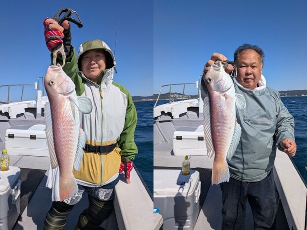 【釣果速報】和歌山県SevenSWellで極上のシロアマダイをゲット！サイズも44cmを筆頭にビッグサイズ主体！秋の味覚をいち早くゲットしよう！