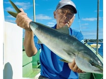 秋はイナダ＋多彩な魚種　腰越沖のウイリー五目盛況