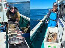 【釣果速報】和歌山県良栄丸で食べ頃マダイ、ゲット達成！良型メイチダイ＆グレなど大漁で大満足の釣果に！乗船するなら今でしょ！