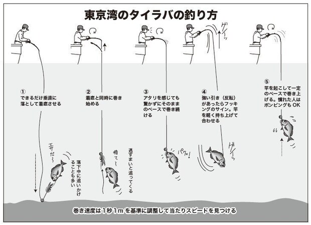 釣り方の図