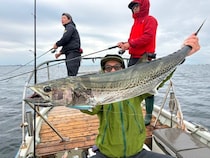 【釣果速報】千葉県林遊船でシーバス・アジ・サワラの人気魚種一挙獲り！大物ハントで有終の美を飾ろう！