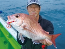 落ちシーズンへ移行で大型も　横須賀沖のタイラバが熱い！