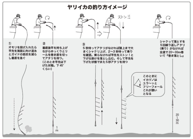 ヤリイカの釣り方イメージ