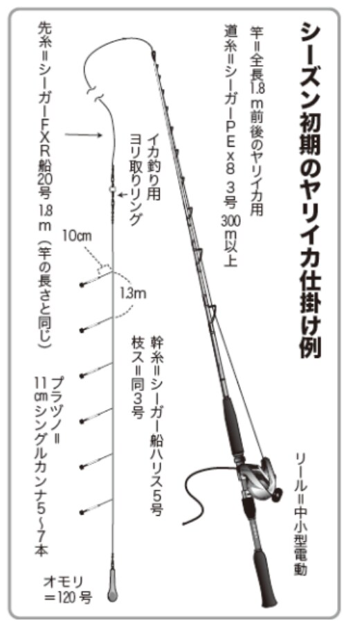 シーズン初期のヤリイカ仕掛け例