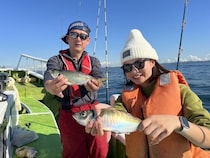 【釣果速報】良型アジ、クーラーいっぱいGET！竿頭は106匹！神奈川県政信丸は数釣りもサイズ狙いもばっちり叶えます！
