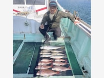 【釣果速報】和歌山県淡隆丸でマダイをキャッチ！メジロ・イサキも交じり豪華なお土産に！今なら、お土産確保間違いなし！