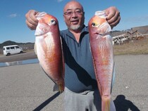 【釣果速報】千葉県千鯛丸で45cmの巨大アカアマダイ釣れるあなたも高級魚ハンターになりませんか？