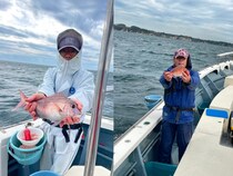 【釣果速報】神奈川県佐円丸で食べ頃サイズの良型1.20kgマダイ上がる！あなたも記録更新を狙ってみませんか？