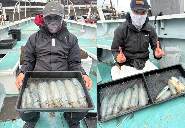 【釣果速報】神奈川県藤八丸でアオリイカが好調!トップは11匹!今こそ極上イカを手に入れる冒険の旅に出よう!