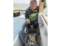 【釣果速報】神奈川県長崎屋でシロギストップ172匹の好釣果！数もサイズも記録更新したいなら今スグの乗船がおすすめ！