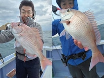 【釣果速報】千葉県新幸丸で注目のマダイとカサゴとカンダイが釣れた！今後の釣行も期待大！今すぐ千葉県新幸丸に乗船を！