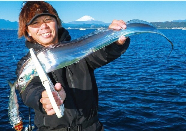 相模湾のタチウオ