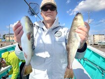 【釣果速報】千葉県利永丸はショウサイフグ＆トラフグが好調！秋晴れの中、ヒット＆キャッチ多数！チャンスの多い今、ぜひ乗船を！