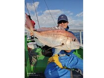 【釣果速報】マダイ・イナダなど人気ターゲットが釣れまくり！茨城県弘漁丸で豪華なおさかな天国へGO！