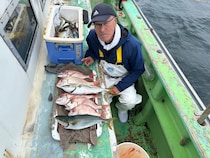 【釣果速報】ハナダイ・イナダのヒットが連発！神奈川県喜久丸の釣行でクーラーボックスを人気魚種でいっぱいにしよう！