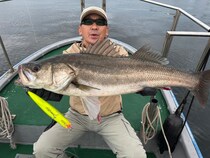 【釣果速報】千葉県TARGETで88cmのランカーシーバスゲット！あなたも今すぐ自己最高記録を更新しに行こう！